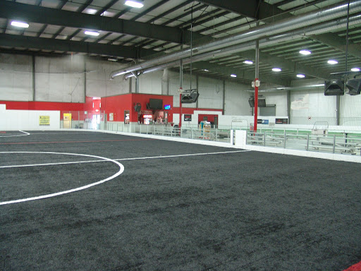 Silverbacks Indoor - Visual