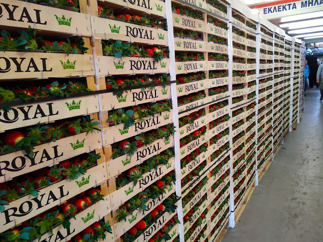 Μαναβικο Τα δίδυμα - Έδεσσα