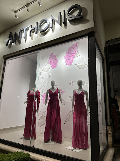 Anthoniq - Visual