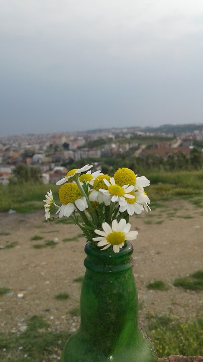 park