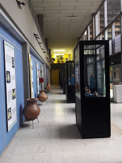 Photos of Museo Arqueologico Julio Cesar Cubillos