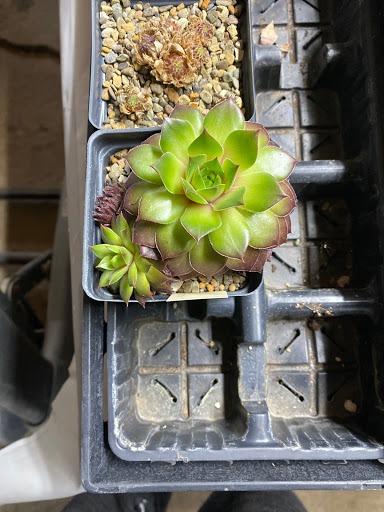 Hidden Hill Farm Greenhouse & Campground - Thumbnail