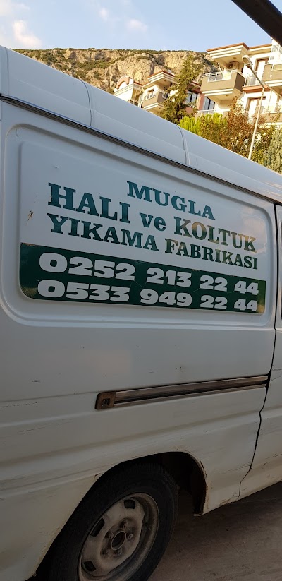 Muğla halı ve koltuk yıkama fabrikası