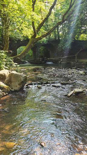 River Ely Gallery - United Kingdom