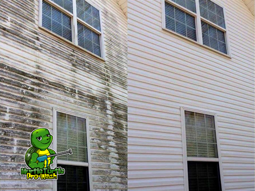 Murtle Turtle Pro-Wash