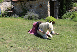 Photo n°1 de Espace d'équithérapie et d'équicoaching à Saint-Aubin-de-Nabirat (Coach de vie)