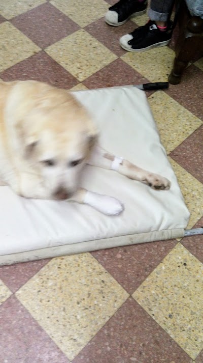 Photos of Cl&iacute;nica Veterinaria Maschwitz