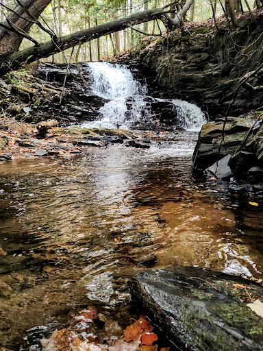 Gomanche Falls - Thumbnail