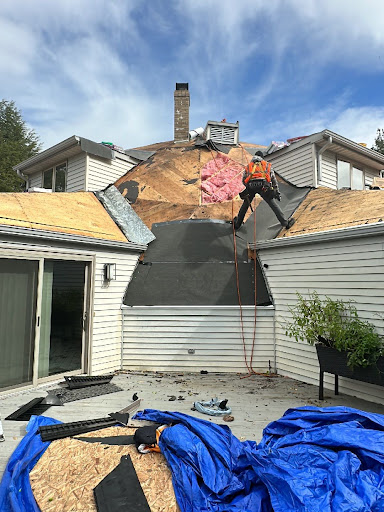 Raw Roofing Solutions - Visual