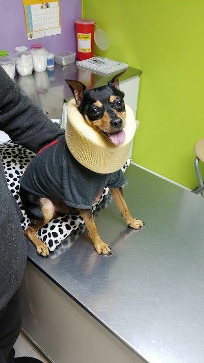 Photos of Dogtor's Cat Veterinary Clinic