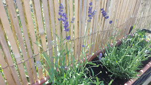 Photo n°17 de Gites Alsace Chez Joël et Nathalie à Urschenheim (Maison d'hôtes)