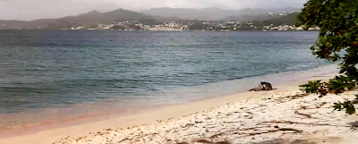 Photos of Grand Anse Beach