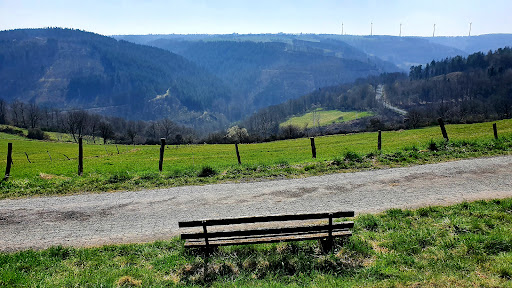 Aussichtspunkt Hürtgenwald / Westwall (gen Schmidt & Kreuzheck) Gallery - Germany