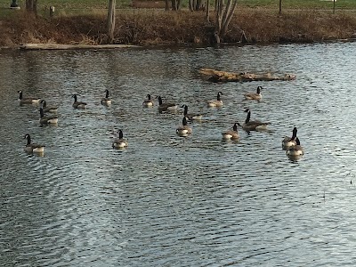 Enfield Dam