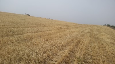 Photos of Metidji Domaine
