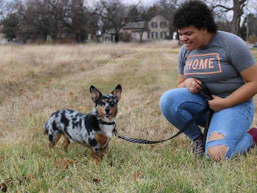 Leads Pet Care - Thumbnail
