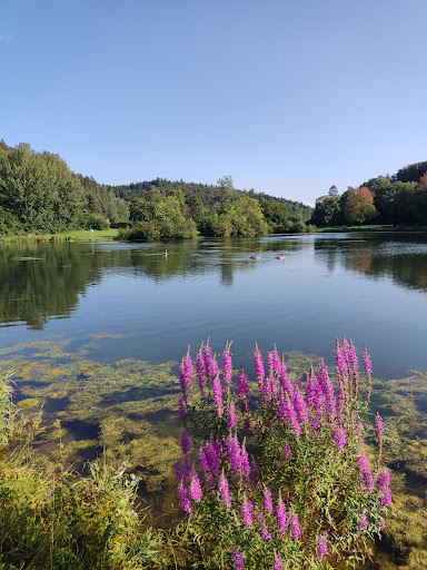 Lauchertsee Eins - Thumbnail