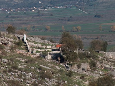 ΖΩΟΔΟΧΟΥ ΠΗΓΗΣ(ΜΕΤΟΧΙ)