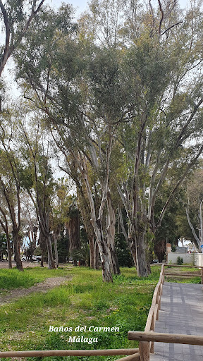 Baños del Carmen Park - Thumbnail