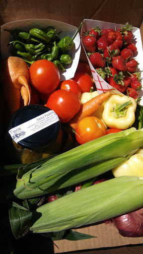 Tierra Vegetables - Thumbnail