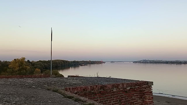 ДУНАВ