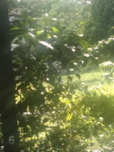 Photos of Ray White Cibubur