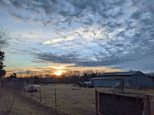Vessey Ranch - Visual