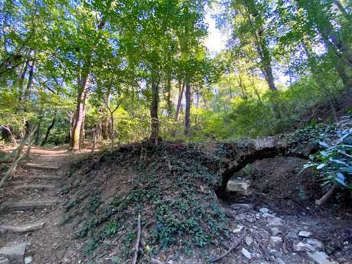 Clanz al ponticello (Parco Farneto) - Thumbnail