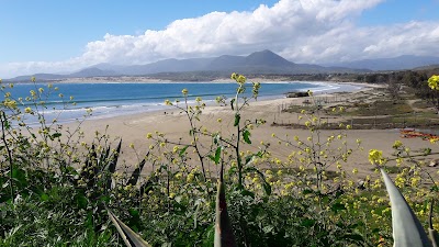 Photos of Playa Pichilangui