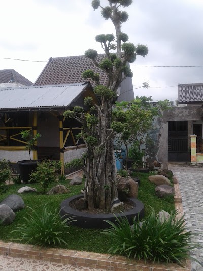 Photos of Cafe Djion
