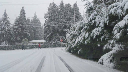 E Saanich Rd at Dean Park Rd Logo