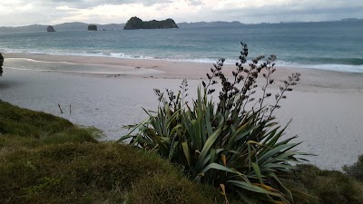 Photos of Hahei Horizon Bed & Breakfast
