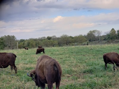 Native Hoofed Animal Enclosure