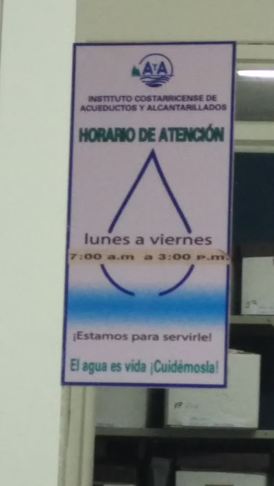 local-government-office