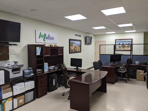 Multiser Inc - Visual