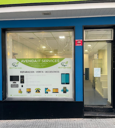 Avenida IT Services
