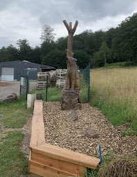 Photo n°6 de Wolf Et Fils sarl à Reipertswiller (Exploitation forestière)