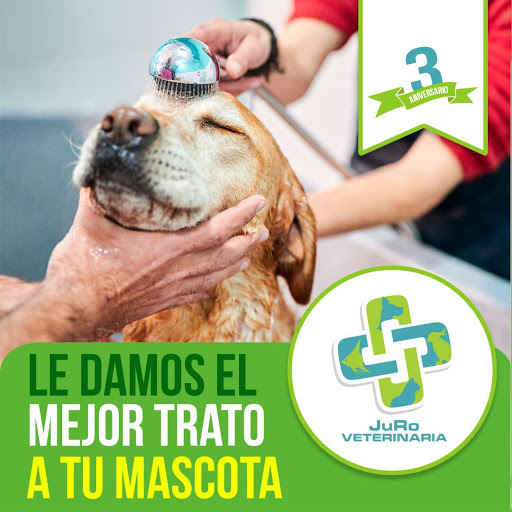 JuRo Veterinaria