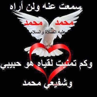 Photos of nabil saad