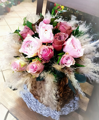 La Bottega di Amato Fiori e Piante - Thumbnail