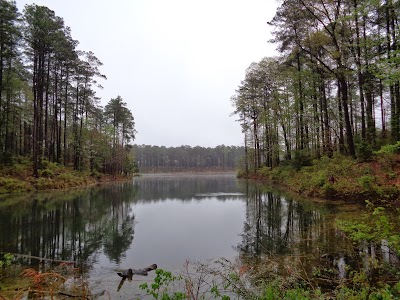 Gum Springs Campground and Picnic Area