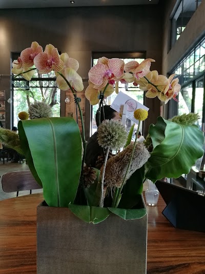Photos of Brown Roastery BKK