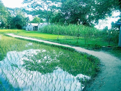Photos of Moddo Para