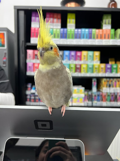 Mothers grocery - Thumbnail