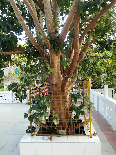 Photos of University Temple