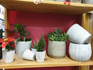 Photo n°5 de Central Flore est toujours ouvert du lundi au vendredi à Rungis (Fleuriste)