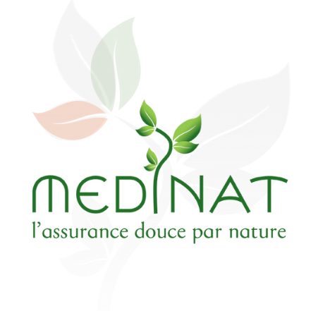 Medinat