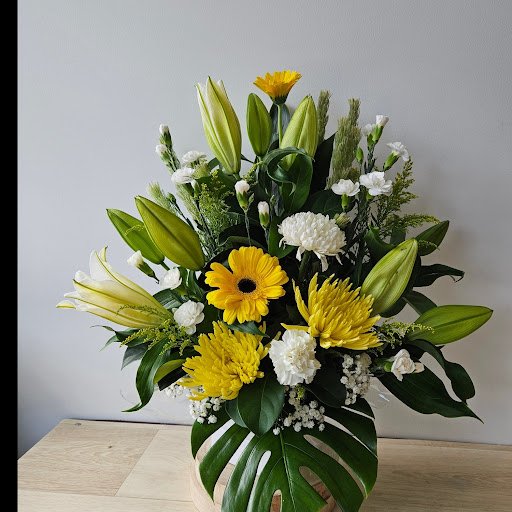 This'll Do Nicely - Florist, Indoor Plants & Gift Shop Tweed Heads Gallery - Australia