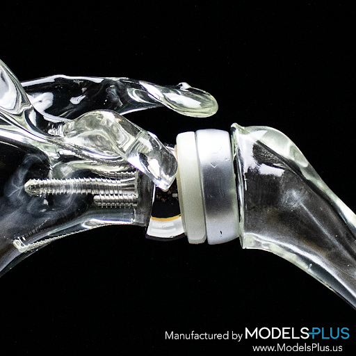 Models Plus, LLC - Visual