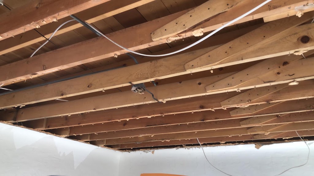 Evolving Concepts Construction LLC photo